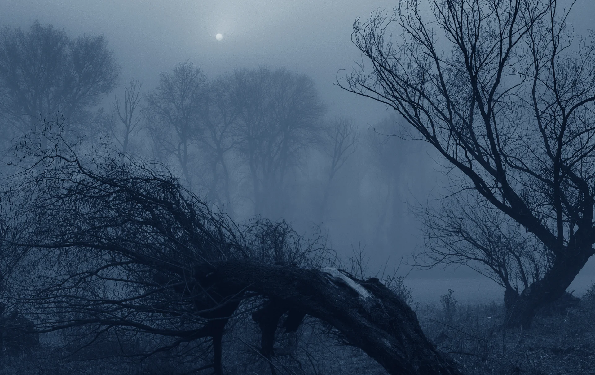 Imbolc (Mondfest)